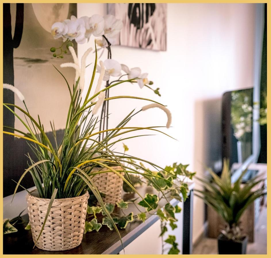 Appartement T3 I Cozy I Douvaine Exterior photo
